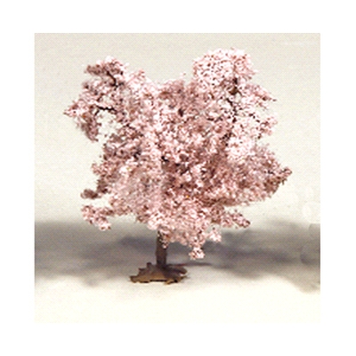 桜の木 商品画像