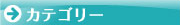 N�Q�[�W/�S���͌^