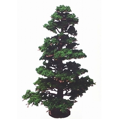 ザ・樹木010 杉の巨木　商品画像