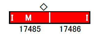 富山地方鉄道17480形（前面赤帯 第3編成）2両編成セット（動力付き 
