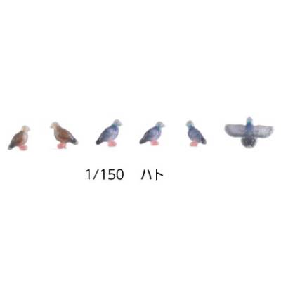 1/150 ハト