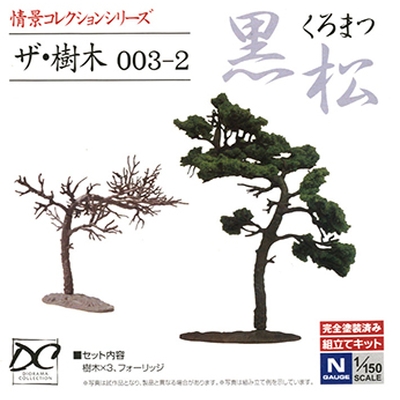 ザ・樹木003-2 クロマツ