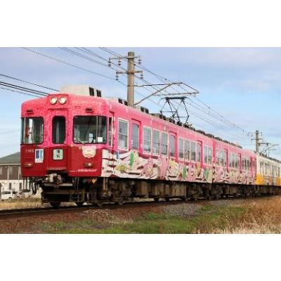鉄道コレクション 高松琴平電気鉄道1100形 ヤドンの電車「うどん県×ヤドン号」2両セット