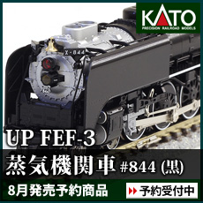 UP FEF-3 蒸気機関車 #844 (黒)