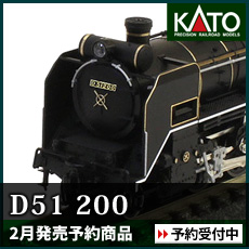 D51 200