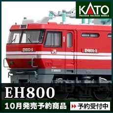 EH800