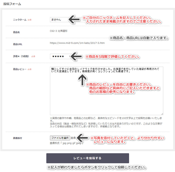 レビューの一例