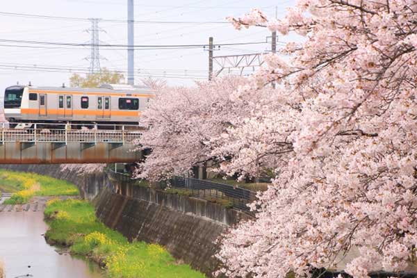 E233系中央快速線が変わる